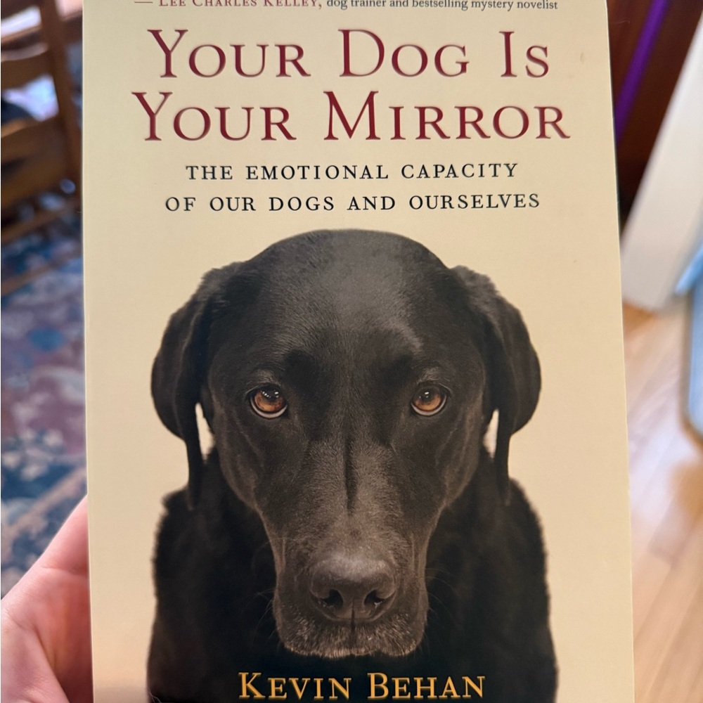 Your Dog Is Your Mirror: The Emotional Capacity of Our Dogs and Ourselves - Picture 3 of 6